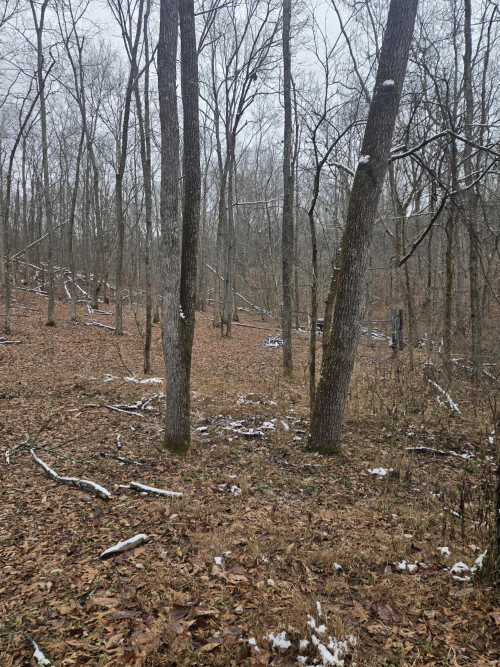 Listing Image 22
