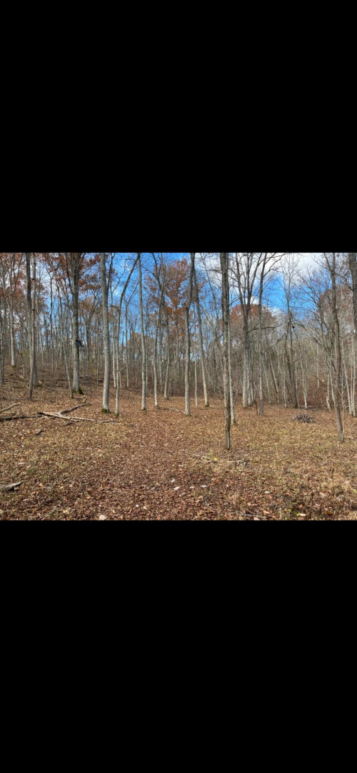 Listing Image 29