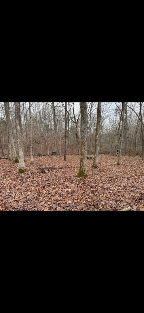 Listing Image 31