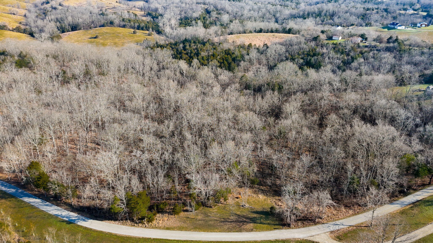 Listing Image 10