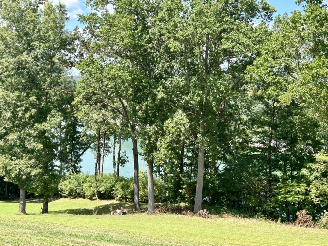 Listing Image 81