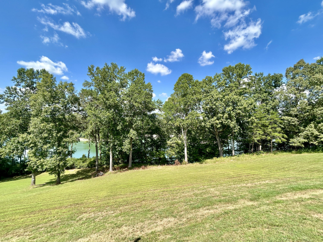 Listing Image 83