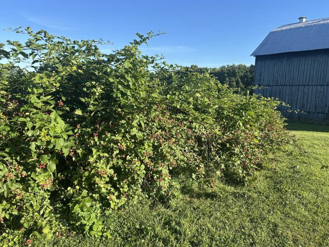 Listing Image 57