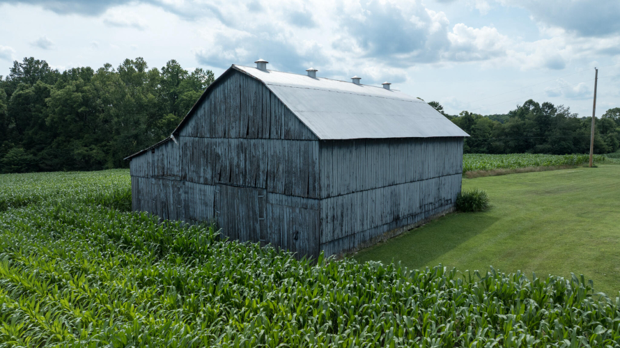 Listing Image 79