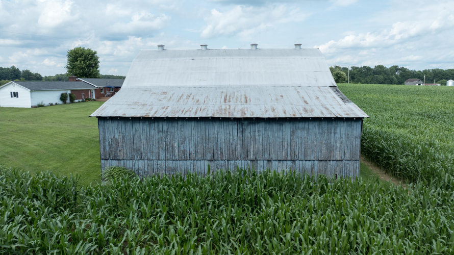 Listing Image 81