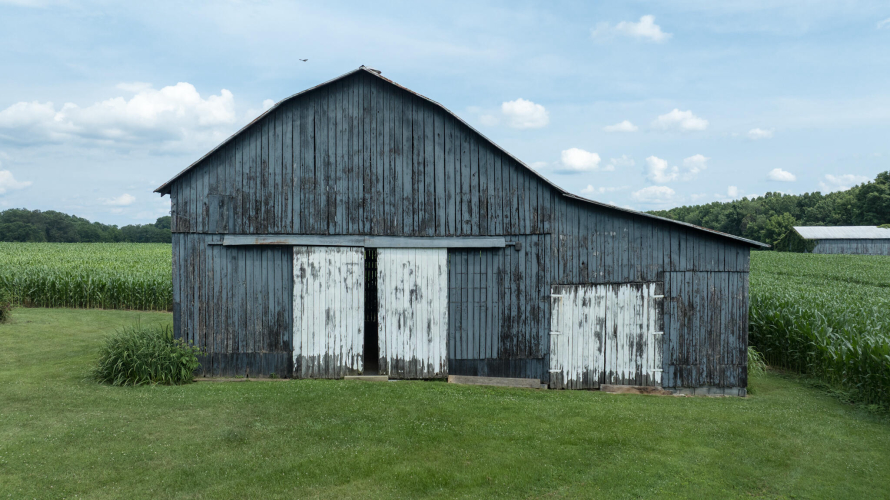 Listing Image 83