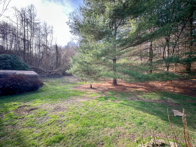 Listing Image 37