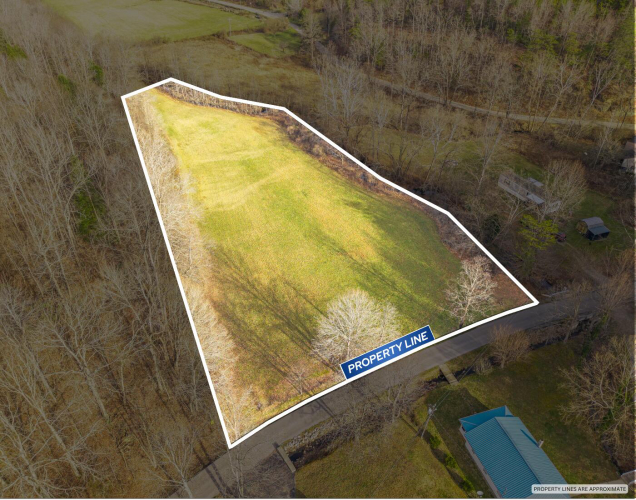 Listing Image 6