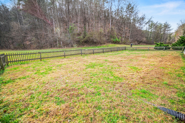 Listing Image 54