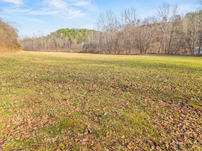 Listing Image 66