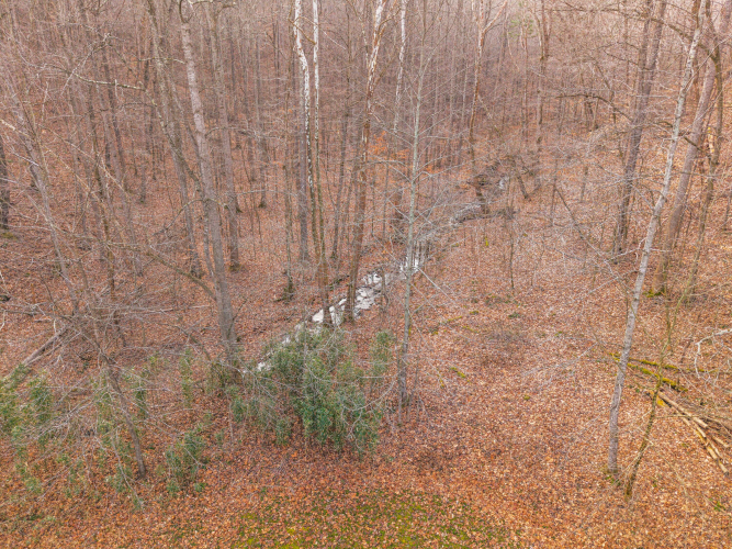 Listing Image 74