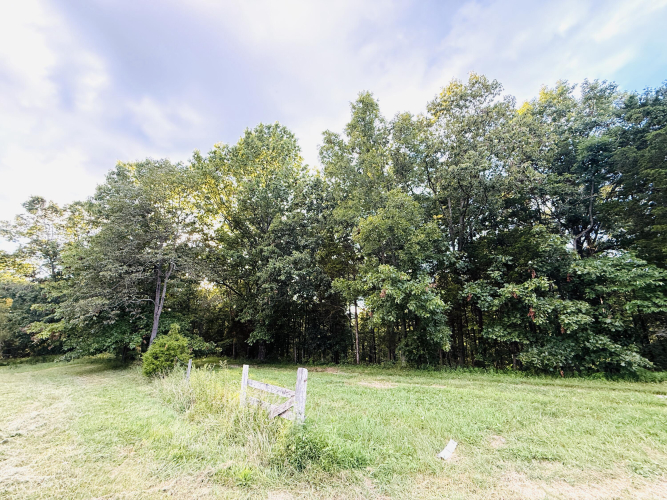 Listing Image 21