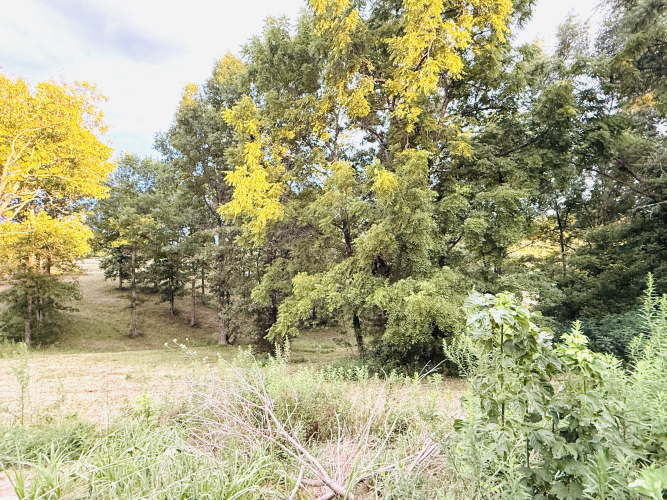 Listing Image 24