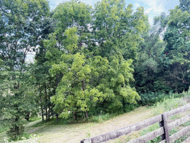 Listing Image 25