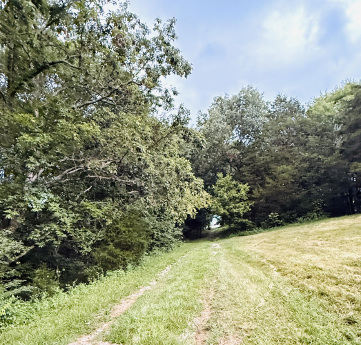Listing Image 27
