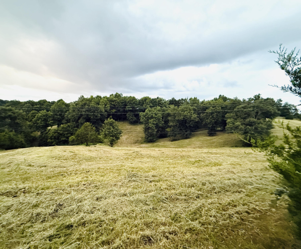Listing Image 28