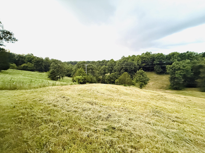 Listing Image 29