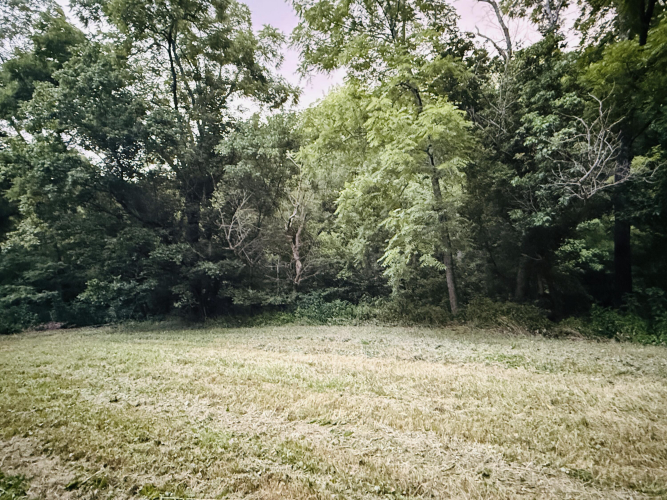 Listing Image 30
