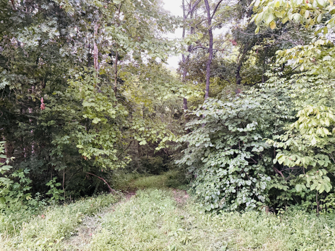 Listing Image 35