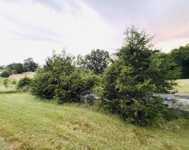 Listing Image 44