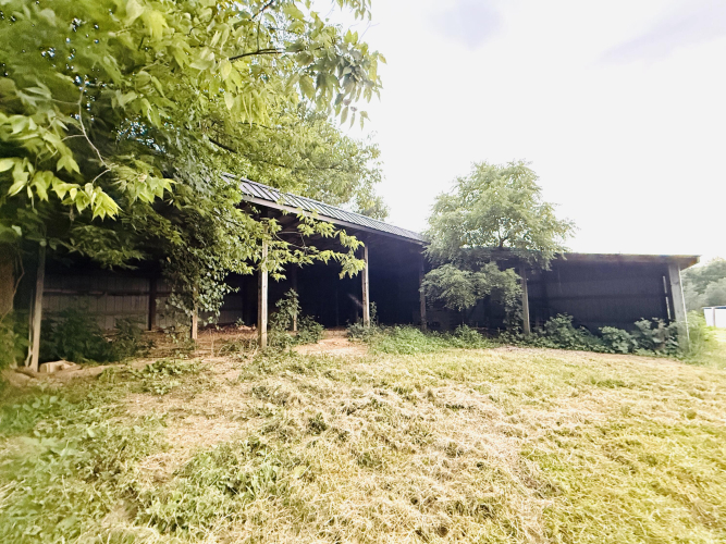 Listing Image 17