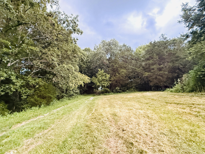 Listing Image 26