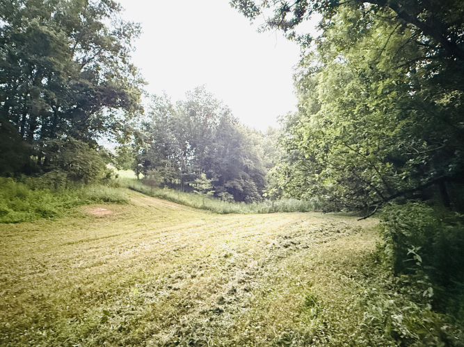 Listing Image 38