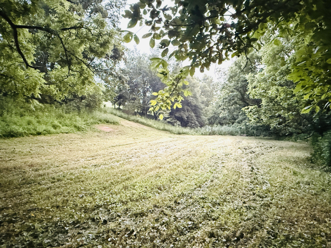 Listing Image 39