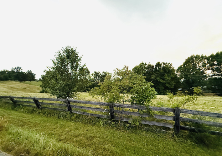 Listing Image 42