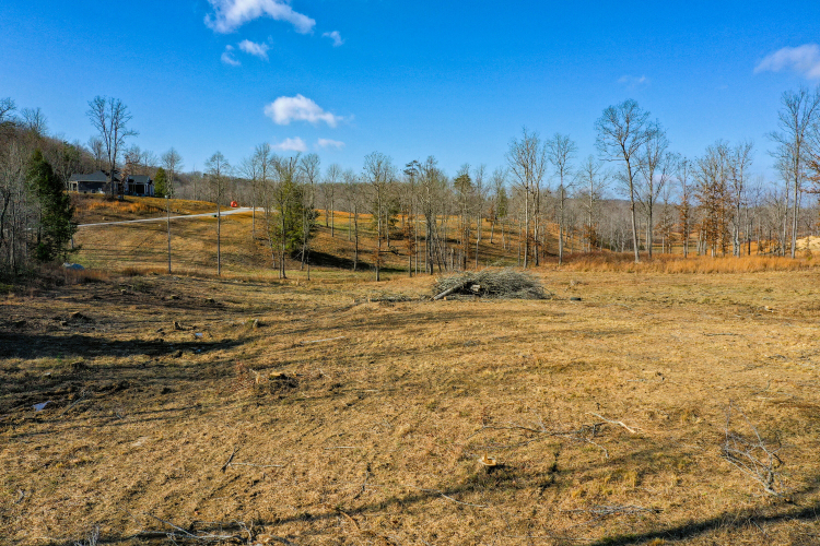 Listing Image 49