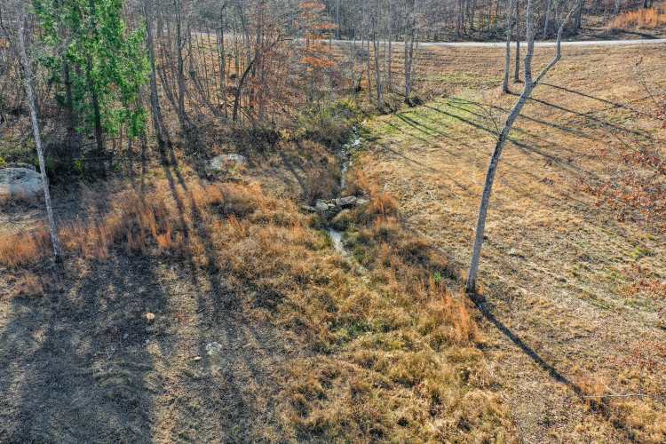 Listing Image 53