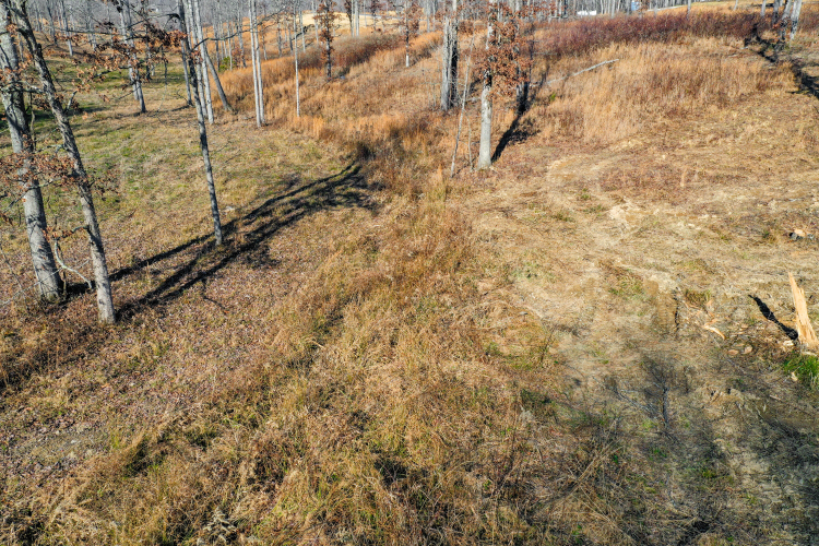 Listing Image 55
