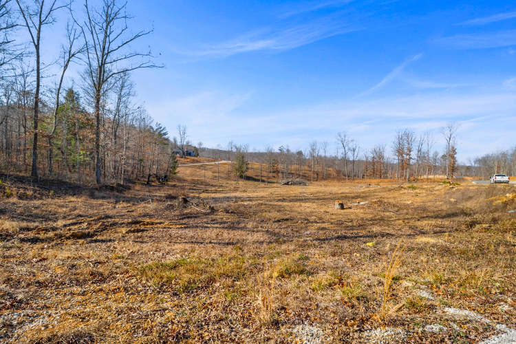 Listing Image 64