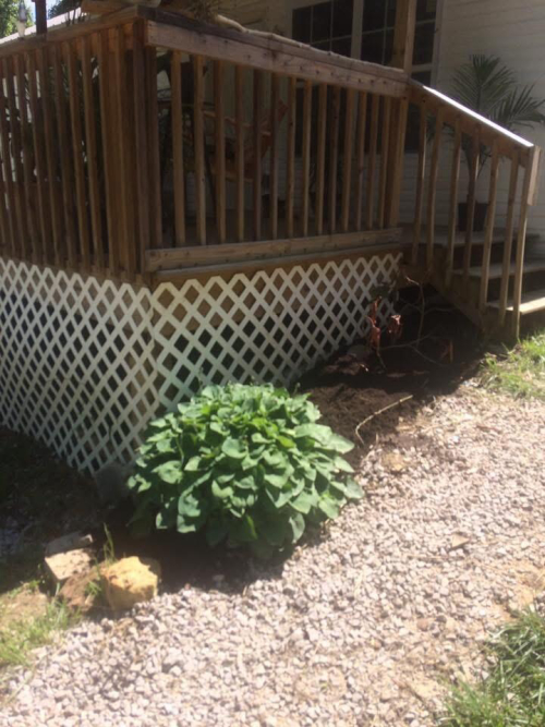 Listing Image 8