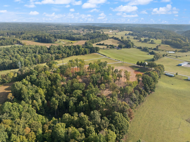 Listing Image 9