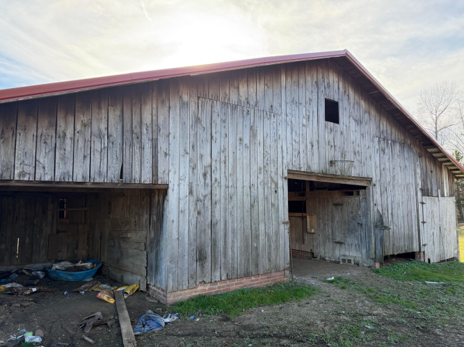 Listing Image 11
