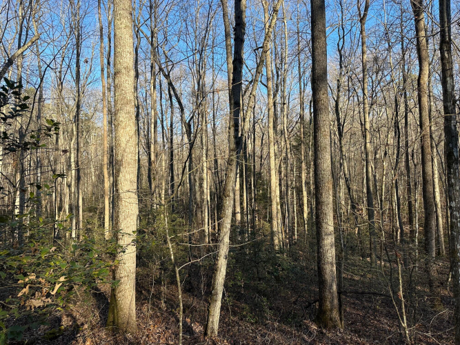 Listing Image 38
