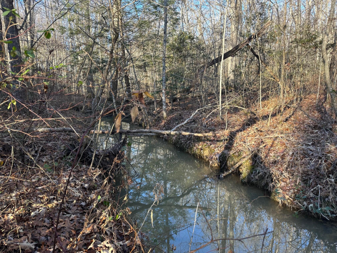 Listing Image 45