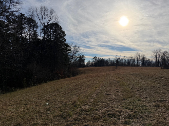Listing Image 54