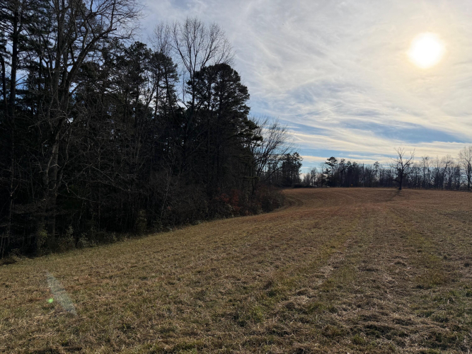 Listing Image 55