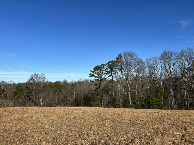 Listing Image 56