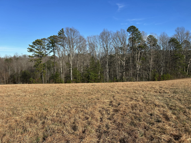 Listing Image 57