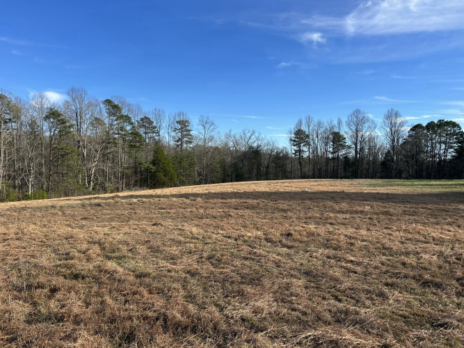 Listing Image 59