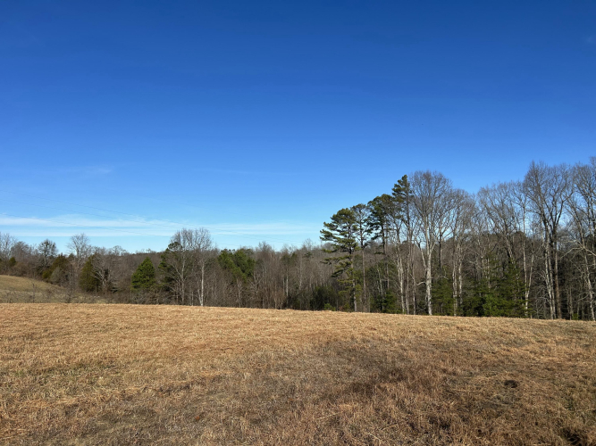 Listing Image 60