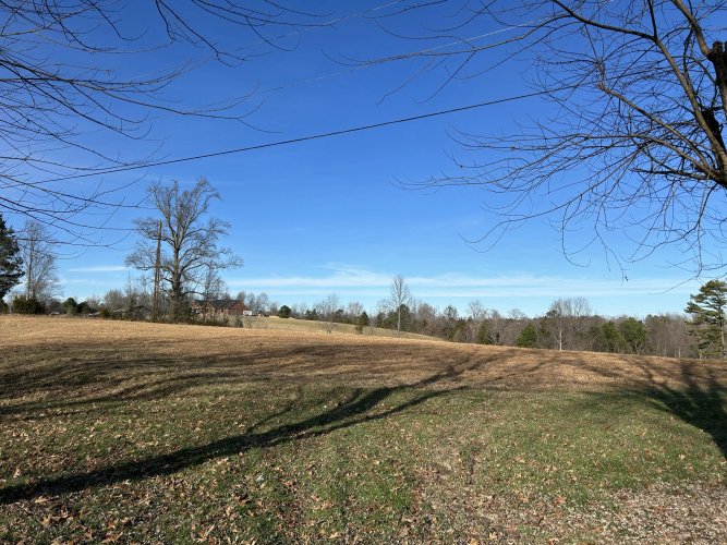 Listing Image 61