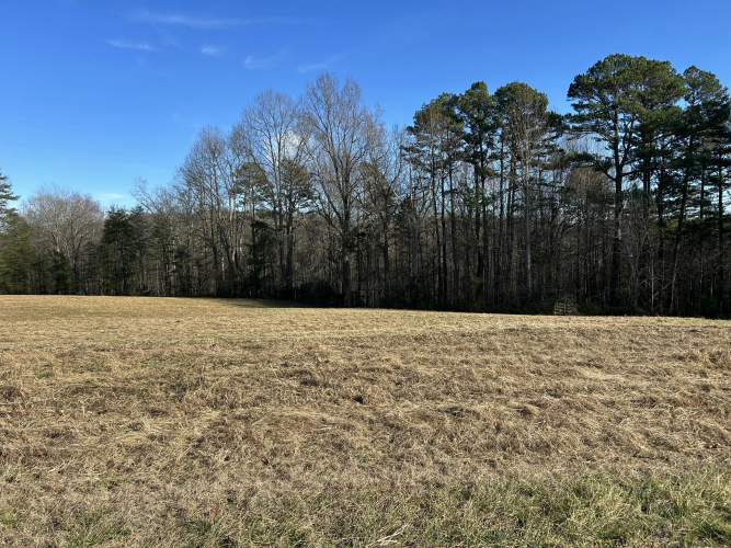 Listing Image 66