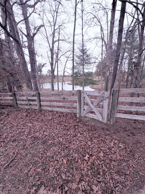 Listing Image 52