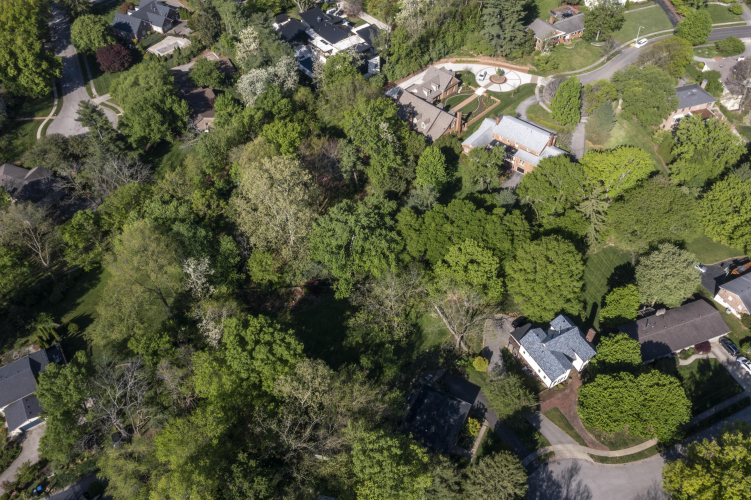 Listing Image 47