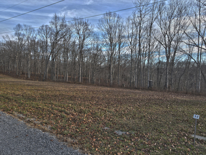 Listing Image 12