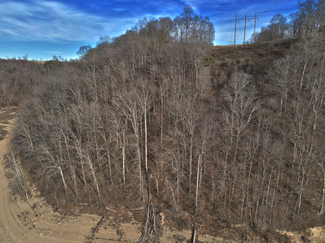 Listing Image 14